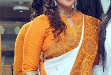 actress nagma in saree